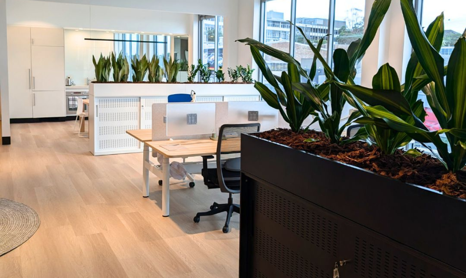 Four important reasons why we put real plants in the Emanate office - Emanate Design