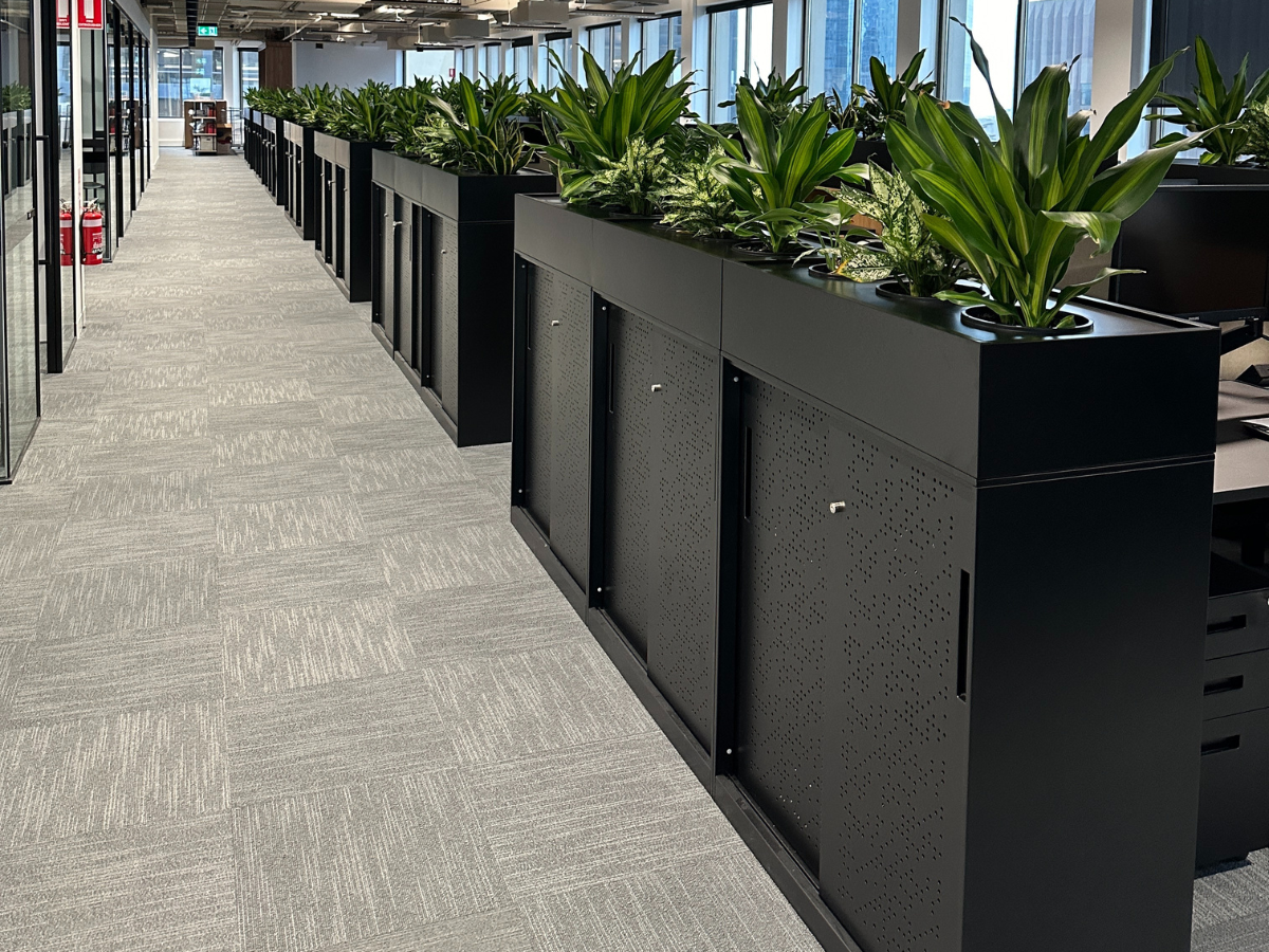 Holding Redlich Planters 4